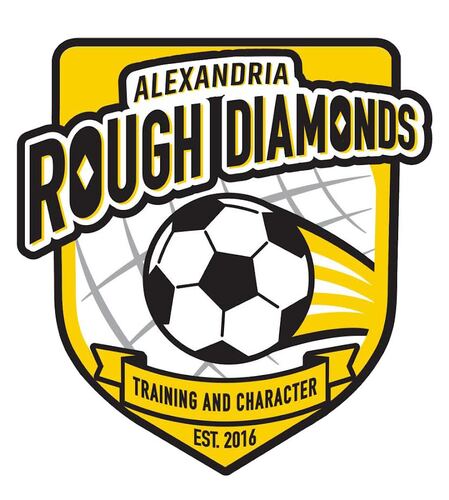 2025 Tryout Registration | NPSL Alexandria Rough Diamonds poster