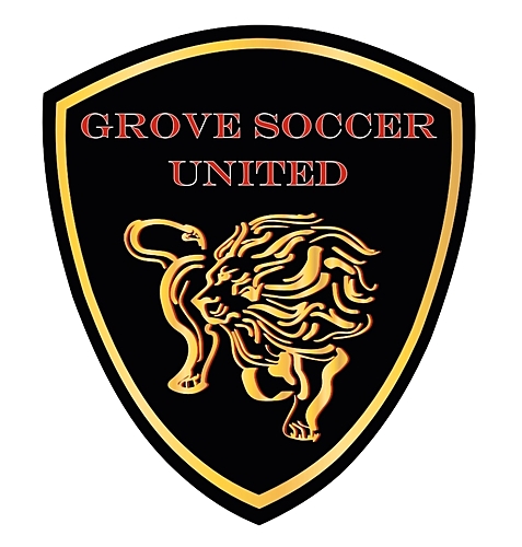 Grove Soccer United vs Northern Virginia United poster