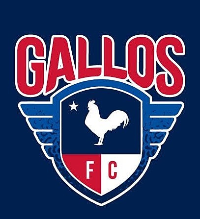 Gallos FC vs. West Texas FC poster